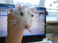 /album/fotogaleria/g-2-jpg/